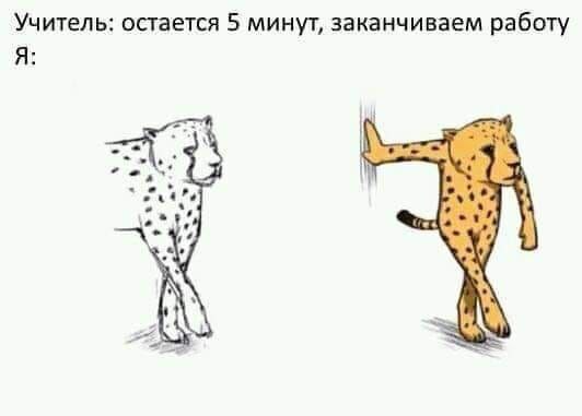 Учитель: остается 5 минут, заканчиваем работу