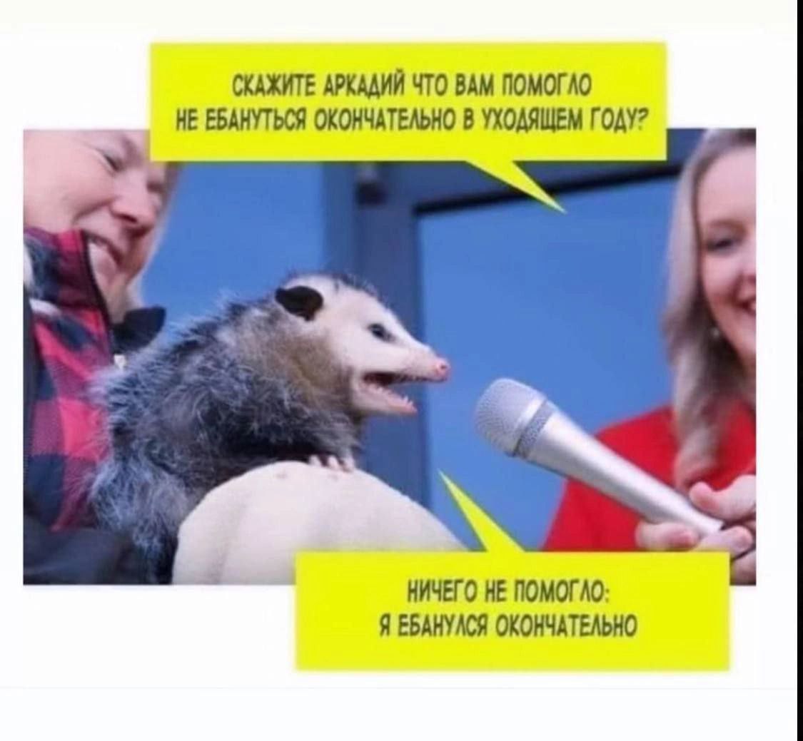 СКАЖИТЕ АРКАДИЙ ЧТО ВАМ ПОМОГЛО НЕ ЕБАНУТЬСЯ ОКОНЧАТЕЛЬНО В УХОДЯЩЕМ ГОДУ? 4 2 4 i НИЧЕГО НЕ ПОМОГЛО: Я ЕБАНУЛСЯ ОКОНЧАТЕЛЬНО