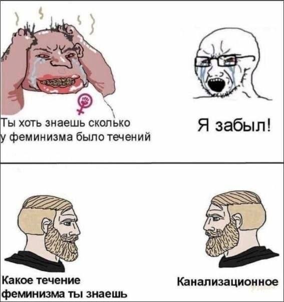 Ты хоть знаешь сколько Я забыл! у феминизма было течений Какое течение Канализационное феминизма ты знаешь
