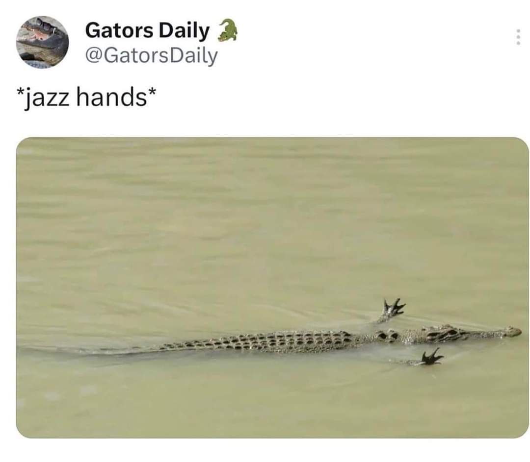 Gators Daily @GatorsDaily *jazz hands*