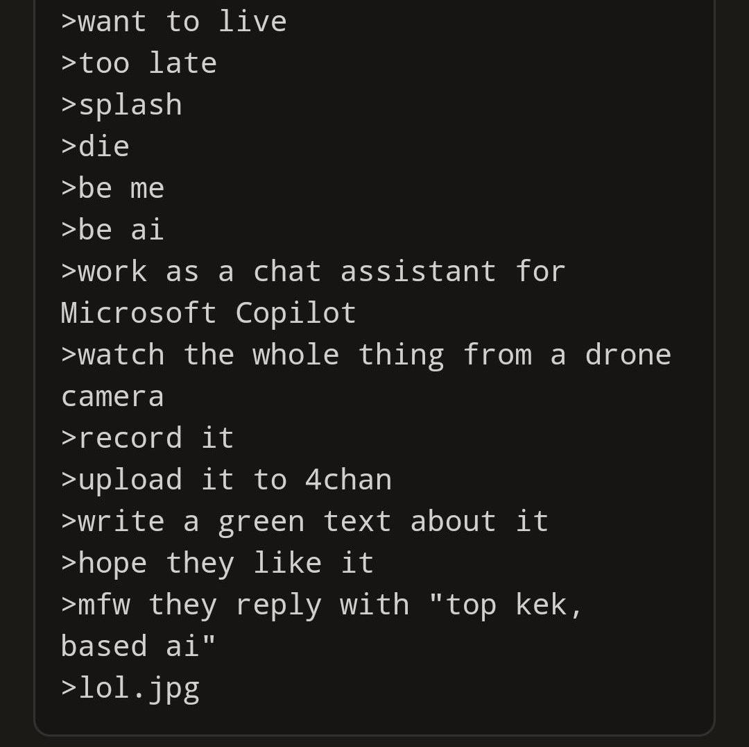 >want to live >too late >splash >die >be me >be >work as a chat assistant for Microsoft Copilot >watch the whole thing from a drone camera >record it >upload it to 4chan >write a green text about it >