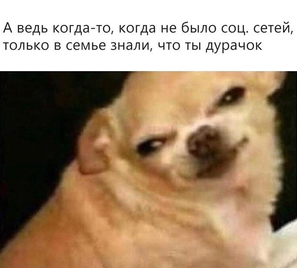 А ведь когда-то, когда не было соц. сетей, только в семье знали, что ты дурачок