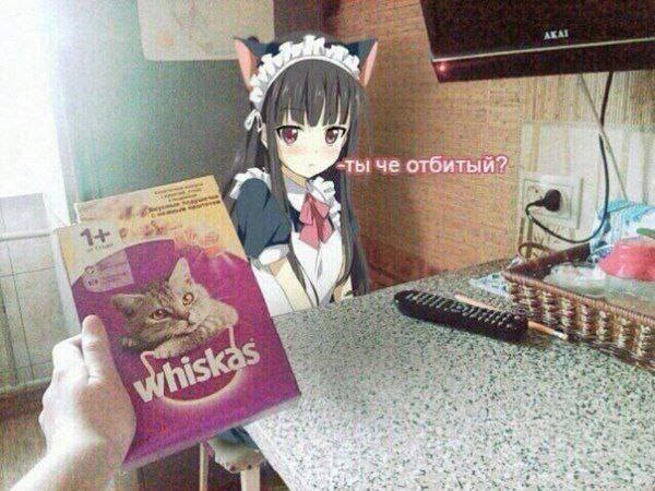 14 -ты че отбитый?