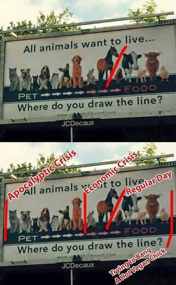 at Пуе... All an imals want to РЕТ a> и draw the line? Where ram JCDecaux у liv ima [5 to Нап if РЕТ line? ere draw the гот JCDecaux