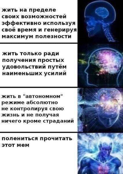 жить на пределе своих возможностей эффективно используя своё время и генерируя максимум полезности жить только ради получения простых удовольствий путём i наименьших усилий жить в автономном режиме аб