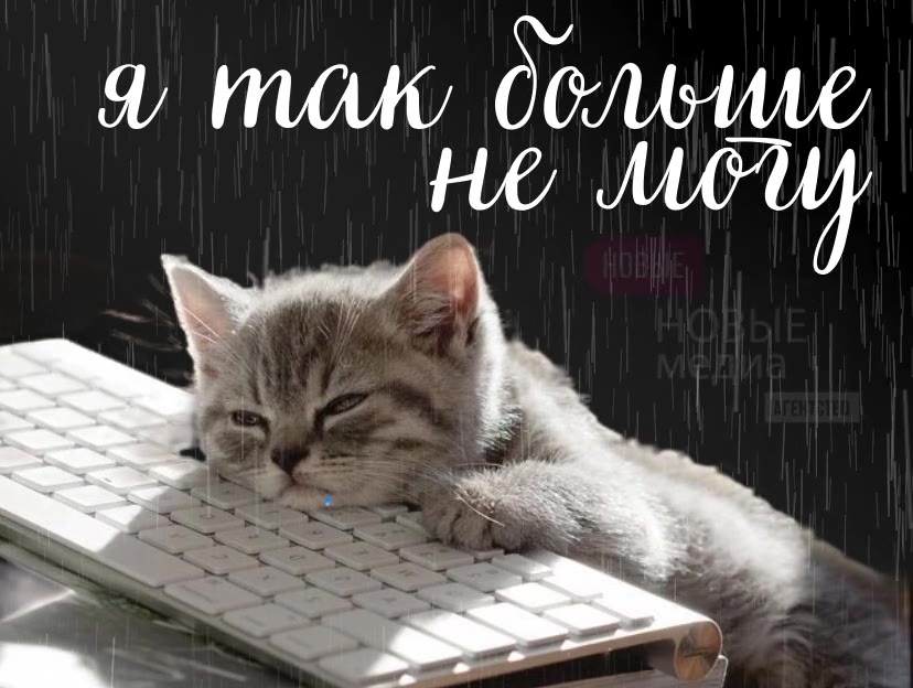 Держитесь, ребята