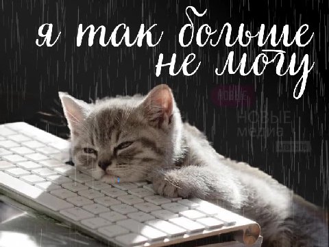 Держитесь, ребята