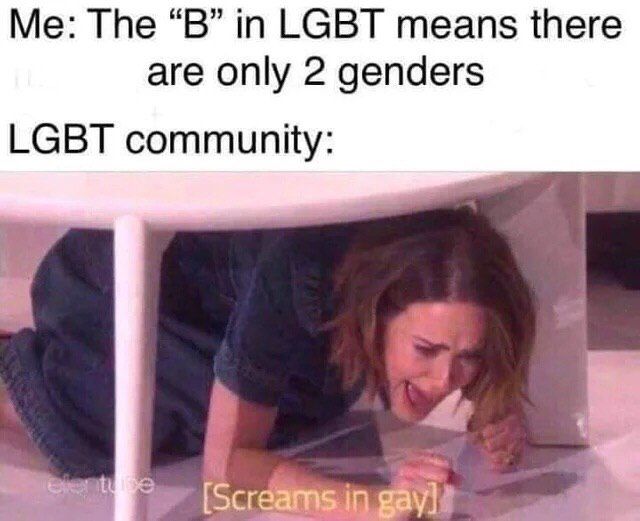 The “В” in LGBT means there are only 2 genders LGBT community: