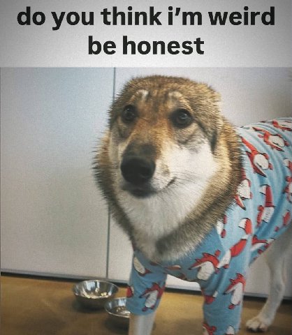 you think weird be honest