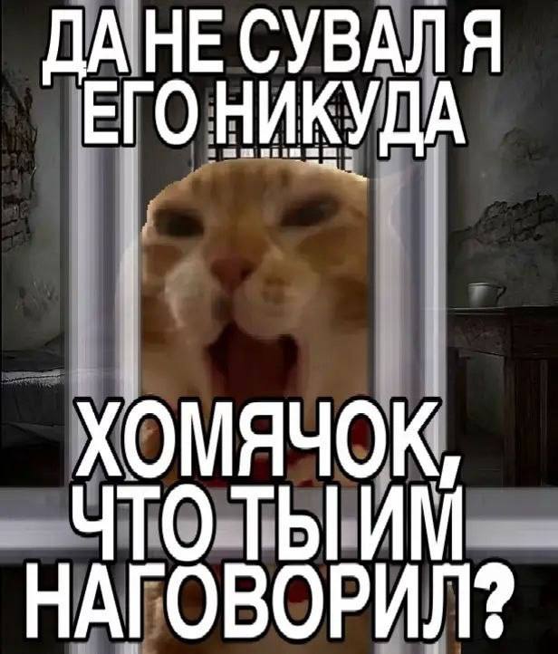 СУВАЛЯ ЕГО НИКУДА ЧТО ТЫ НАГОВОРИЛ?