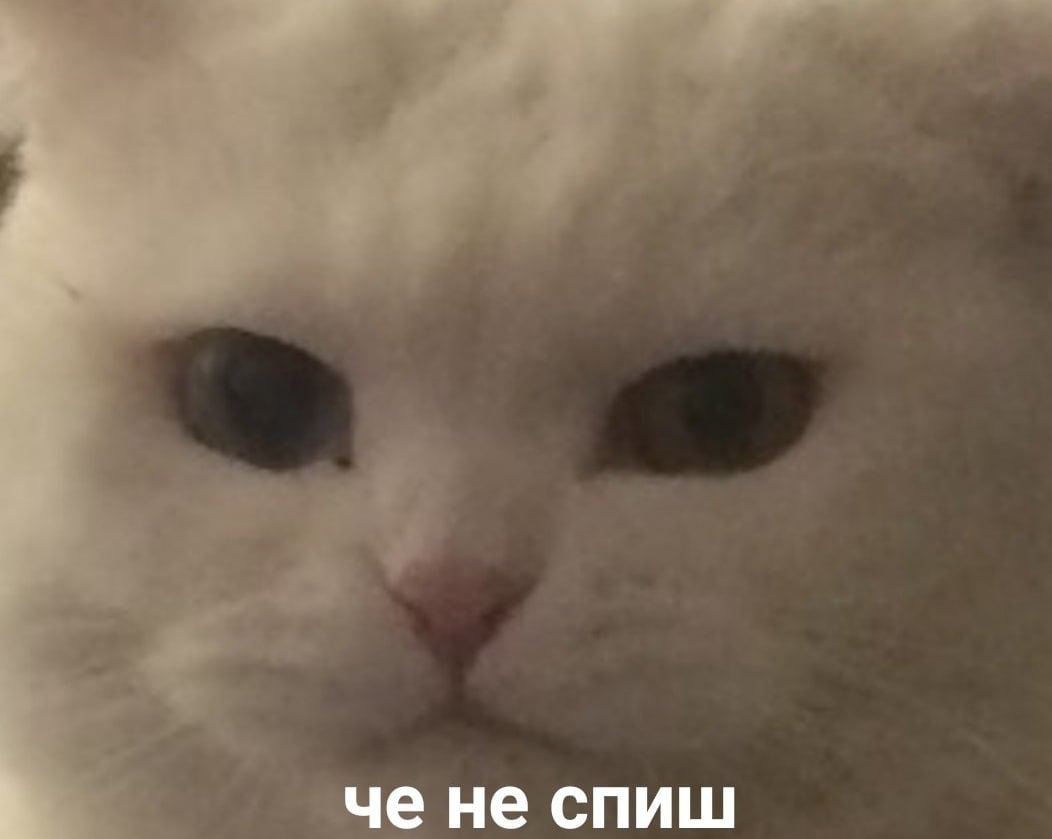 че He спиш