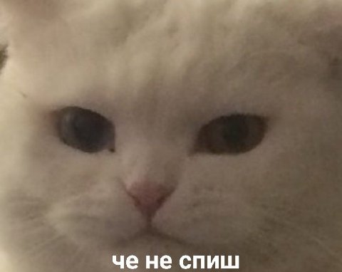 че He спиш