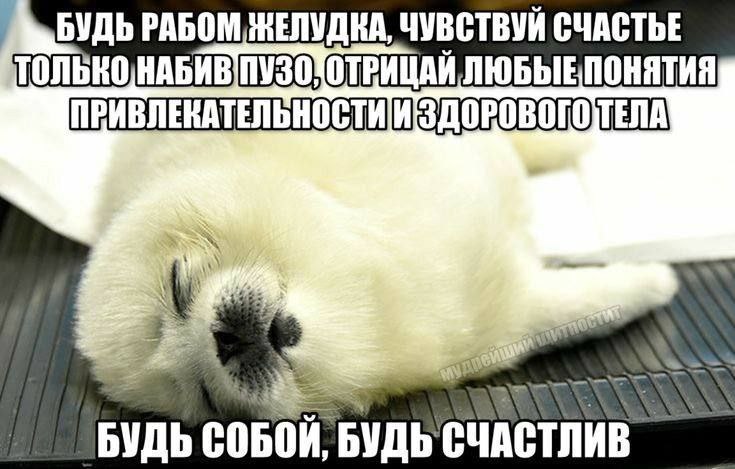 БУДЬ РАБОМ ЖЕЛУДКА, ЧУВСТВУЙ СЧАСТЬЕ ПРИВЛЕКАТЕЛЬНОСТИ И БУДЬ СЧАСТЛИВ