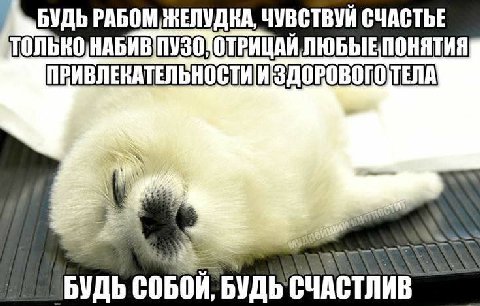 БУДЬ РАБОМ ЖЕЛУДКА, ЧУВСТВУЙ СЧАСТЬЕ ПРИВЛЕКАТЕЛЬНОСТИ И БУДЬ СЧАСТЛИВ