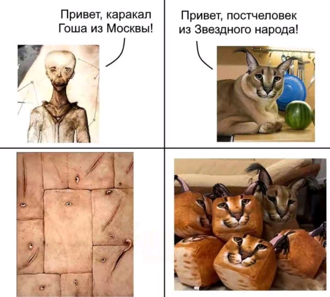 Привет, каракал Привет, постчеловек Гоша из Москвы! из Звездного народа! We