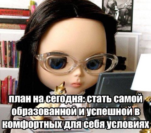 у план сегодня: стать у 5 успешной комфортных условиях