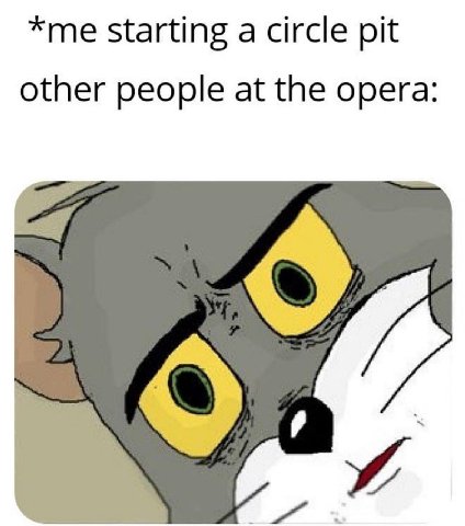 *me starting a circle pit other people at the opera