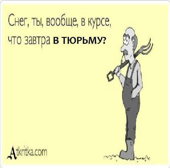 Снег, ты, вообще, в курсе, ЧТО ЗАВТра В ТЮРЬМУ?