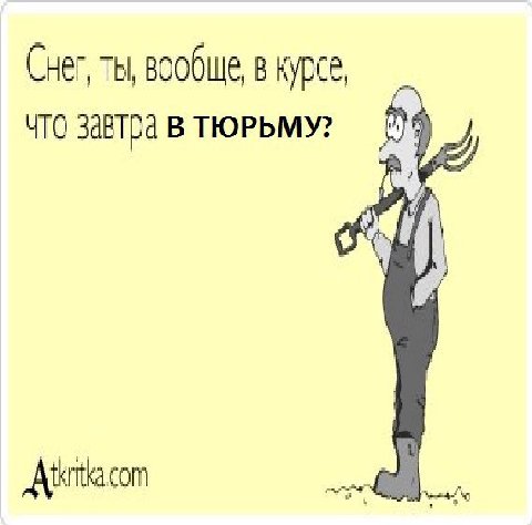 Снег, ты, вообще, в курсе, ЧТО ЗАВТра В ТЮРЬМУ?