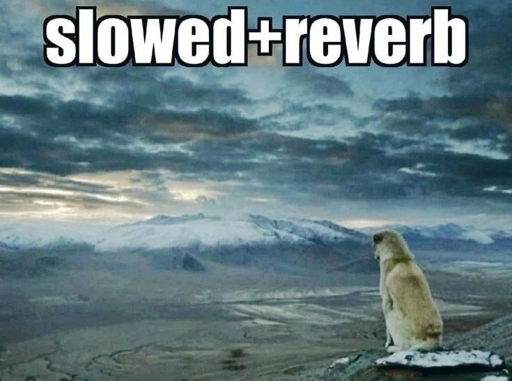 Slowed+reverh