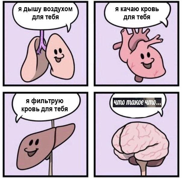 я дышу воздухом я качаю кровь для тебя для тебя кровь для тебя of