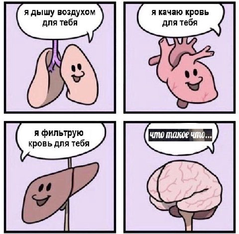 я дышу воздухом я качаю кровь для тебя для тебя кровь для тебя of