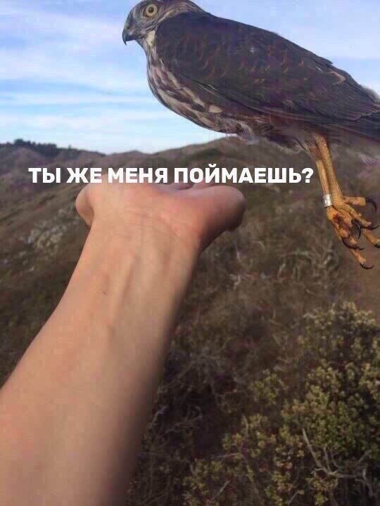 ТЫ ЖЕ МЕНЯ ПОЙМАЕШЬ? 4
