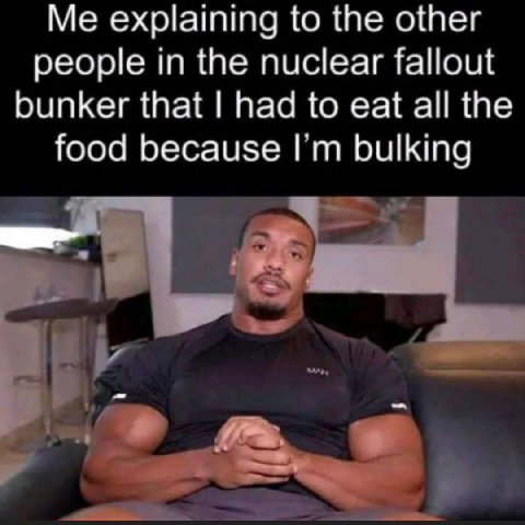 Me explaining to the other people in the nuclear fallout bunker that had to eat all the food because bulking
