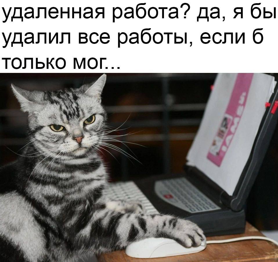 удаленная работа? да, я бы удалил все работы, если 6 ТОЛЬКО МОГ...