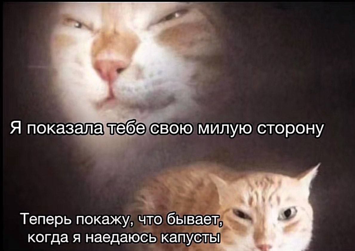 Я показала тебе свою милую сторону Теперь покажу, что бывает, когда я наедаюсь капусты
