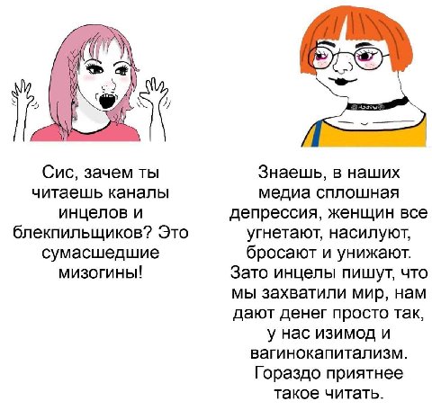 А Сис, зачем ты Знаешь, в наших читаешь каналы медиа сплошная инцелов и депрессия, женщин все блекпильщиков? Это угнетают, насилуют, сумасшедшие бросают и унижают. мизогины! Зато инцелы пишут, что мы 