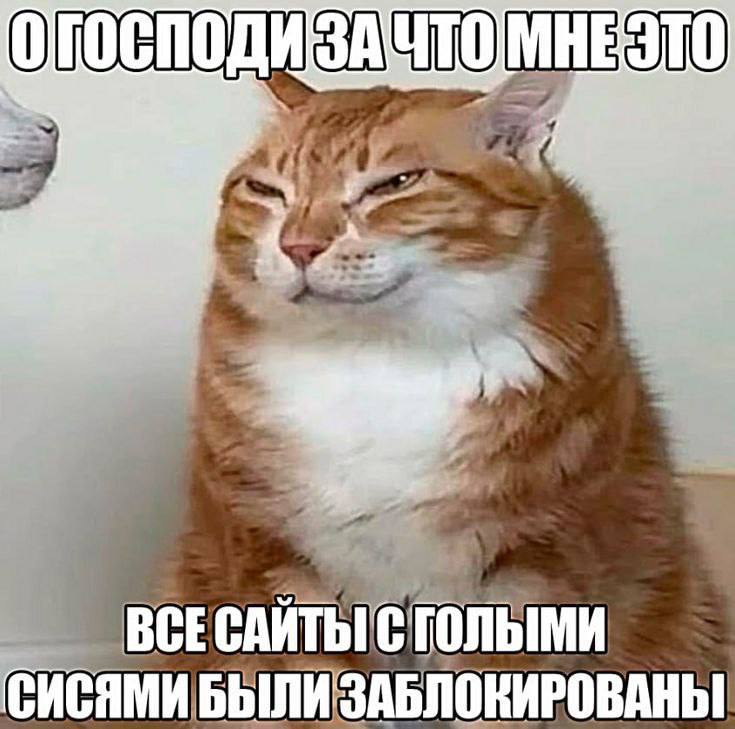 УТОМНЕ ЭТО ВСЕСАЙТЬ! С СИСЯМИ БЫЛИ ЗАБЛОКИРОВАНЫ