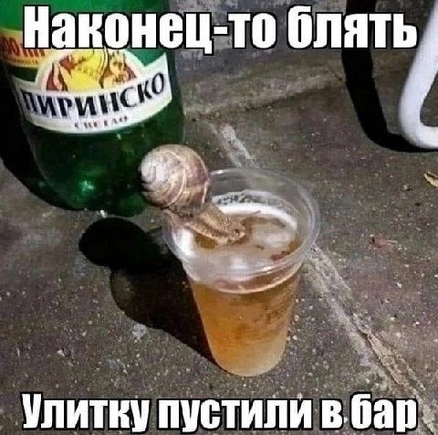 Наконец-то блять Улитку пустили