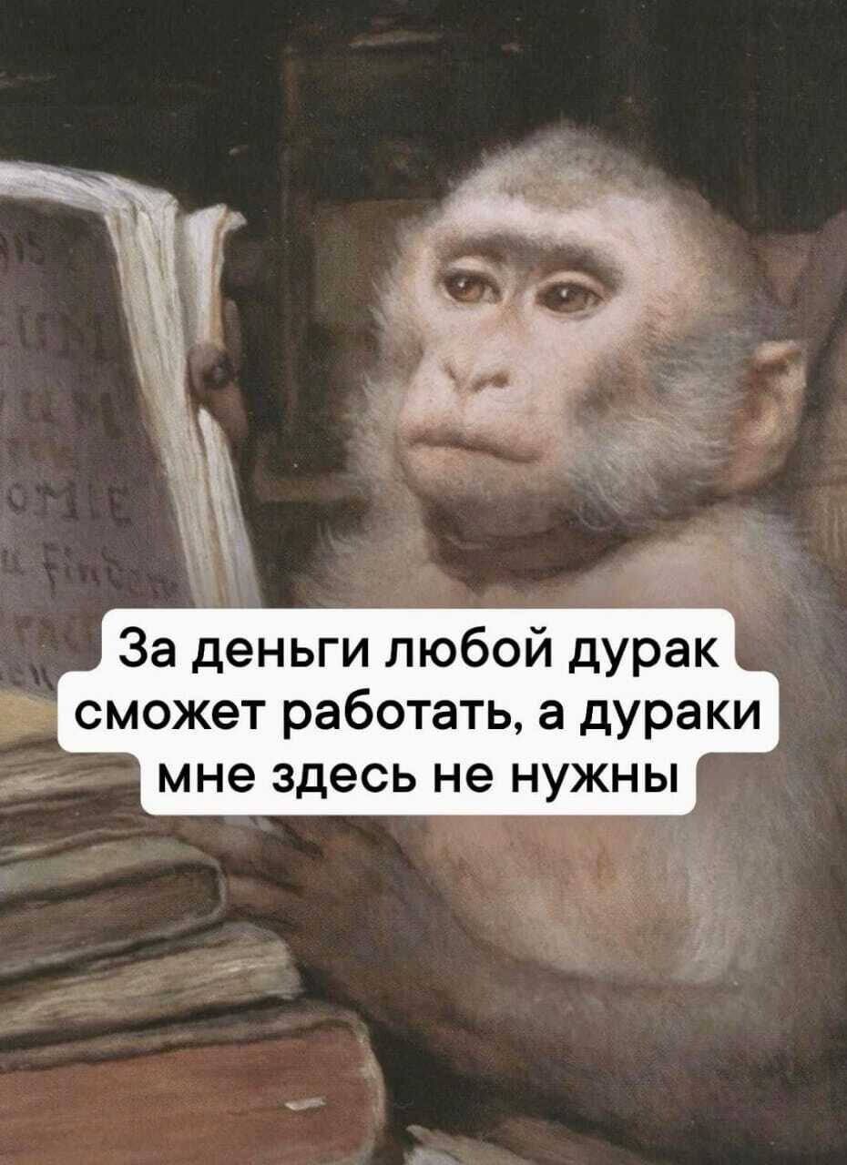 За деньги любой дурак сможет работать, а дураки мне здесь не нужны
