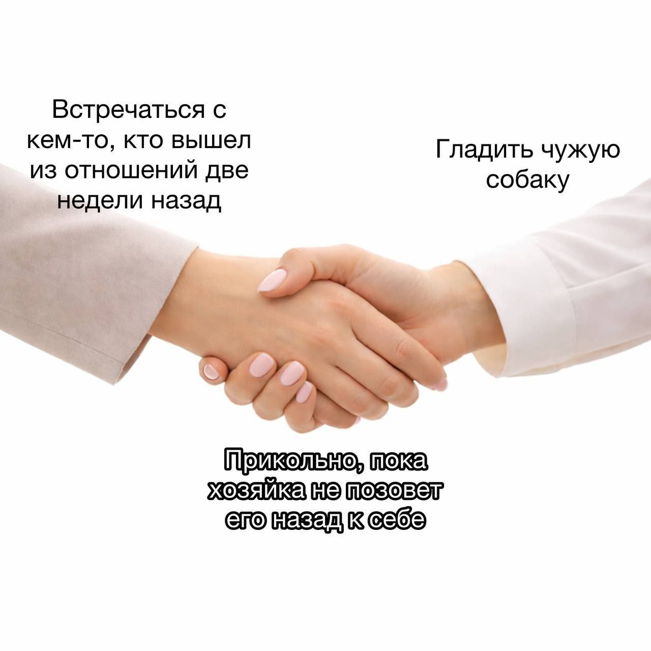 Встречаться с кем-то, кто вышел Гладить чужую из отношений две собаку недели назад я 2 a