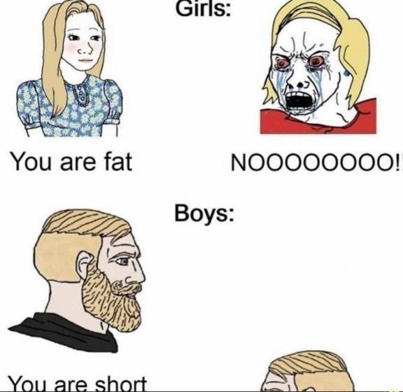 You are fat NOOOOOOOO! Boys: