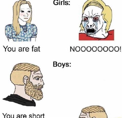 You are fat NOOOOOOOO! Boys: