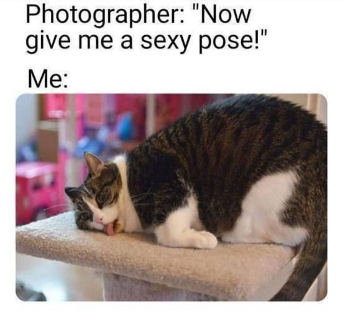 Photographer: "Now give me a sexy pose!” Me
