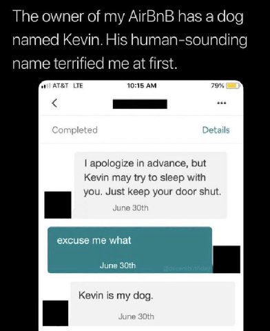 The owner of my AirBnB has а dog named Kevin. His human-sounding name terrified me at first. AT&T LTE 10:15 79% Details apologize in advance, but Kevin may try to sleep with you. Just keep your door s