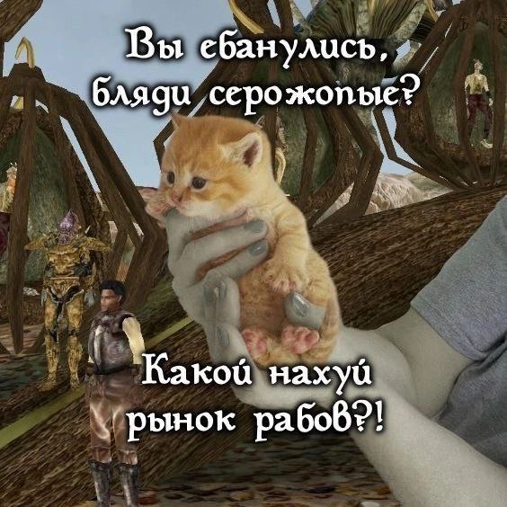 Вы ебанулись, бляди серожопые? Какой нахуй рабов?!