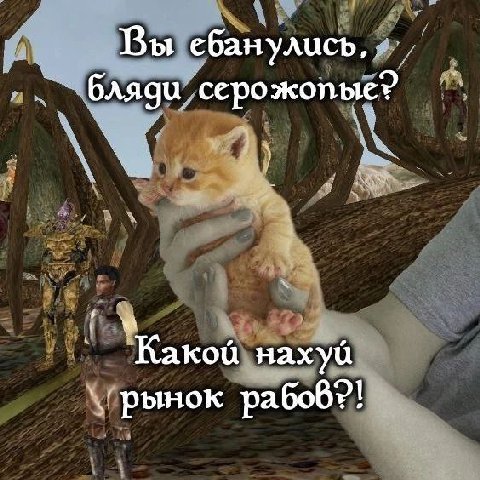 Вы ебанулись, бляди серожопые? Какой нахуй рабов?!