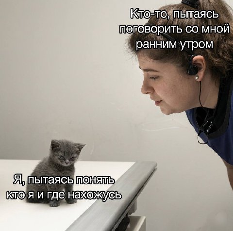 TO, Пытаясь оговорить мной ранним утром пытаяс я и где нахожусь