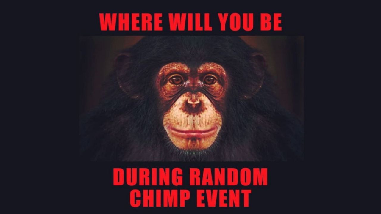 WHERE WILL YOU BE DURING RANDOM CHIMP EVENT