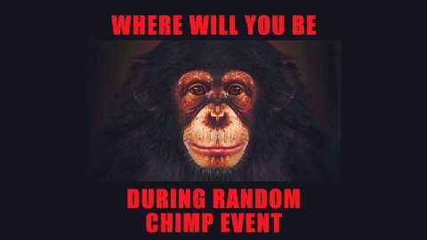 WHERE WILL YOU BE DURING RANDOM CHIMP EVENT