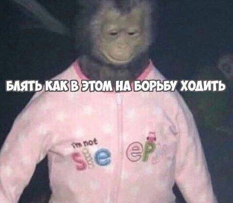 БАЯТЬ КДК НА БОРЬБУ ХОДИТЬ a 2$ 4 on