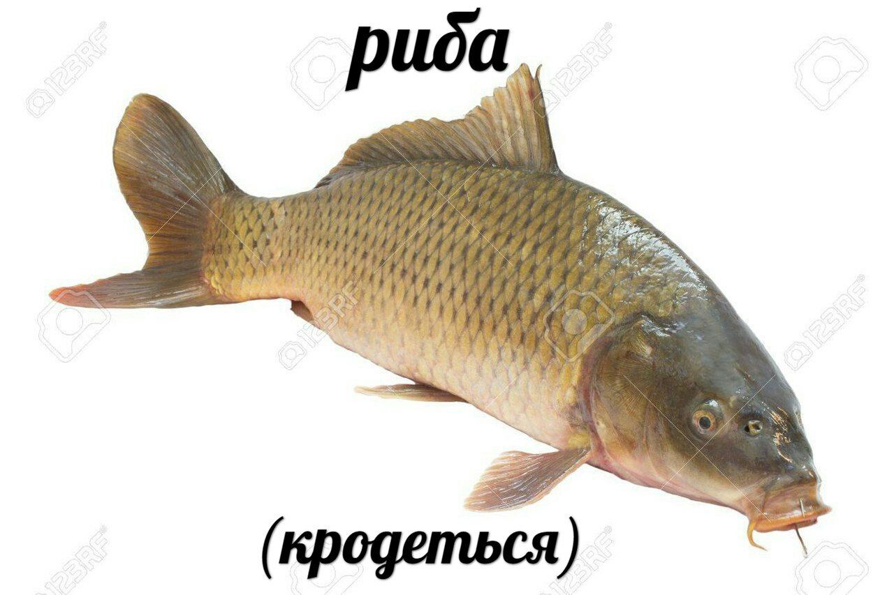 (кродеться)