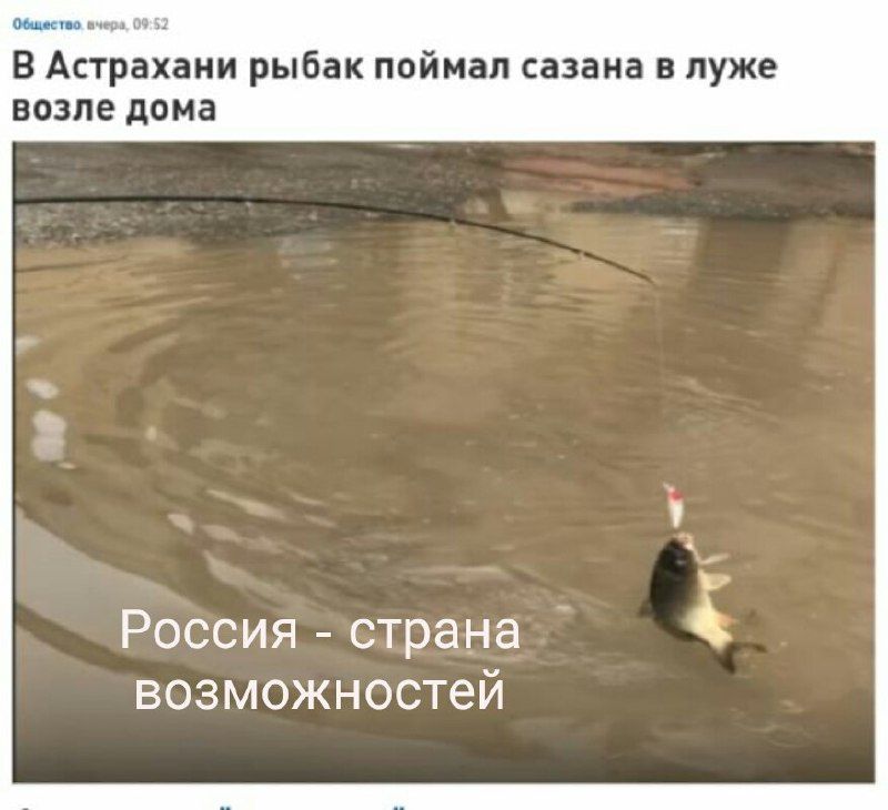 Общиство. вчера, 09:52 В Астрахани рыбак поймал сазана в луже возле дома Россия страна возможностей