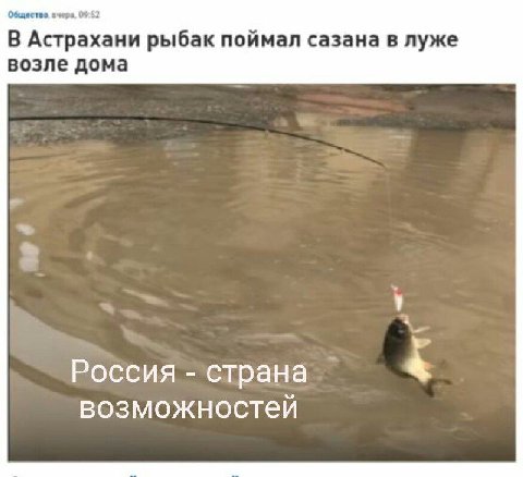 Общиство. вчера, 09:52 В Астрахани рыбак поймал сазана в луже возле дома Россия страна возможностей
