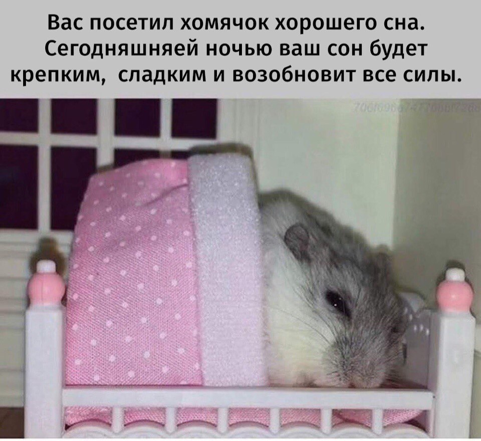 Вас посетил хомячок хорошего сна. Сегодняшняей ночью ваш сон будет крепким, сладким и возобновит все силы. я