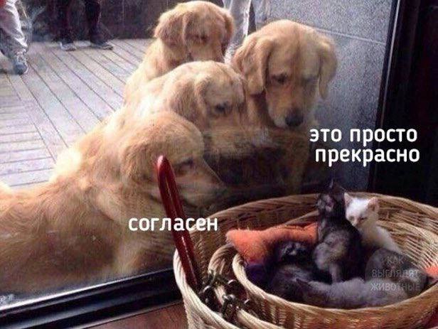 это просто прекрасно согласен